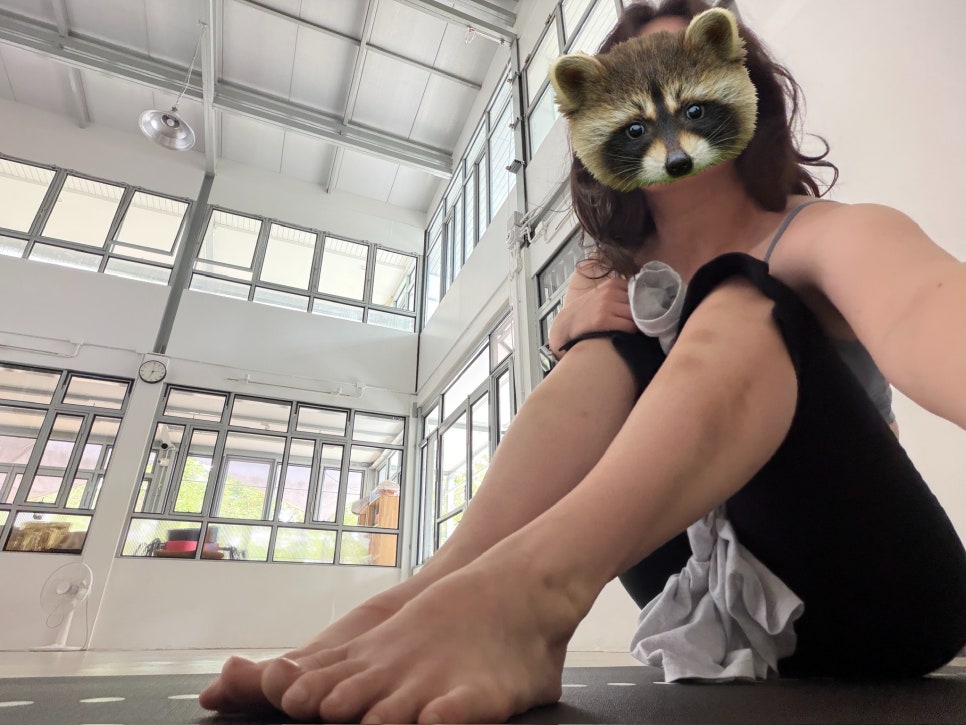 치앙마이 요가원 Vira Yogahome, 파워 빈야사 후기 — 사진 10