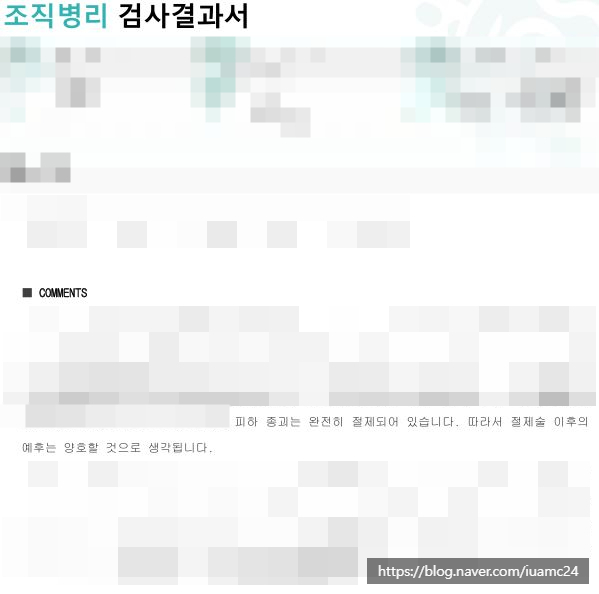 의정부 강아지 피부 종괴 제거 수술 후기 및 비용 — 사진 7