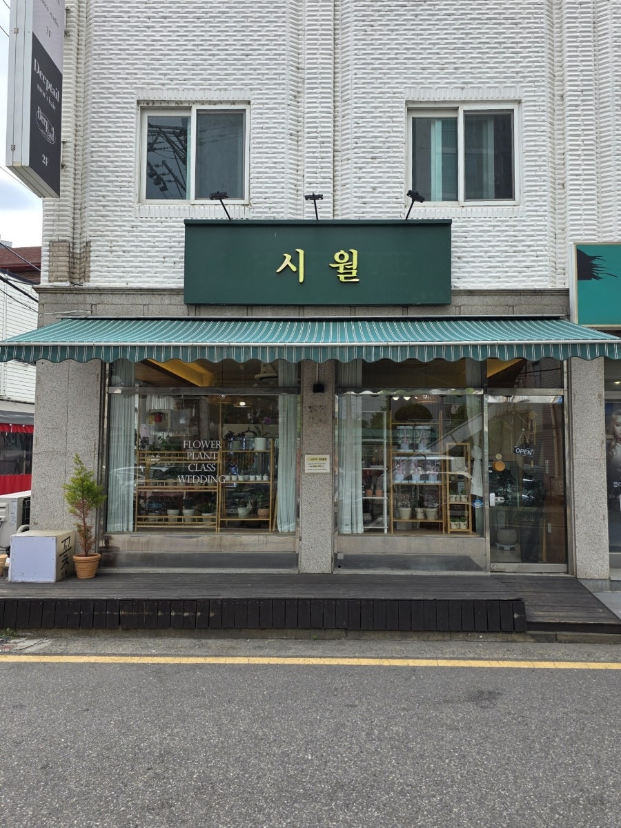 강동구 꽃꽂이 원데이클래스: 시월 플라워, 화병꽂이 배우기 — 사진 3