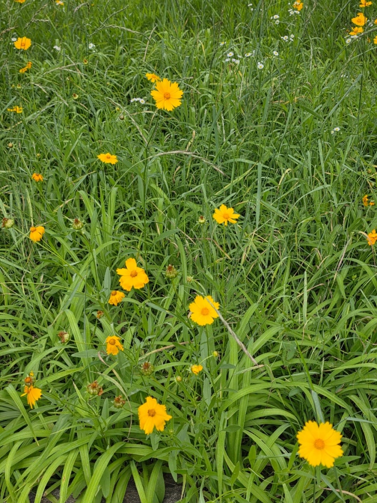 순대고집 잠실새내점 사진 4