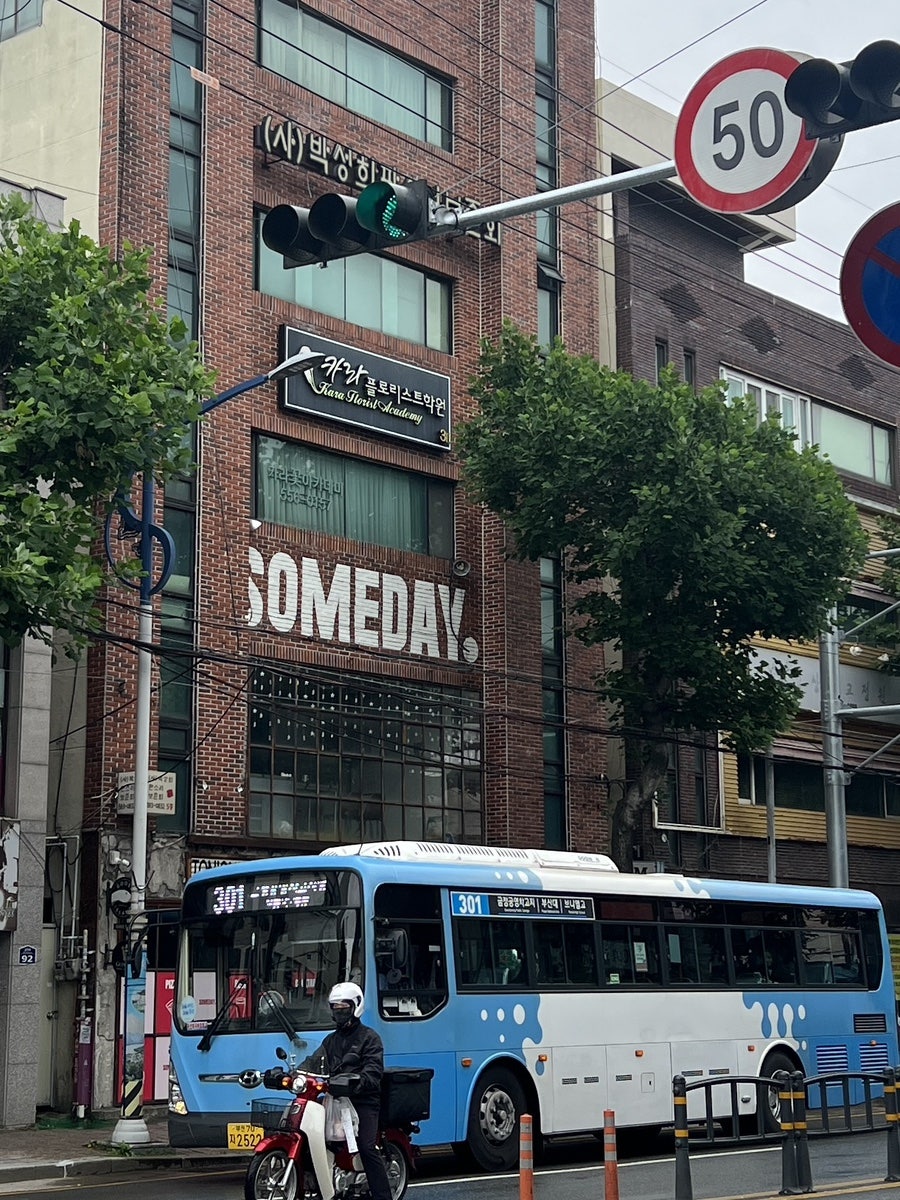 부산대 꽃꽂이 원데이클래스: 카라플로리스트학원 후기 — 사진 6
