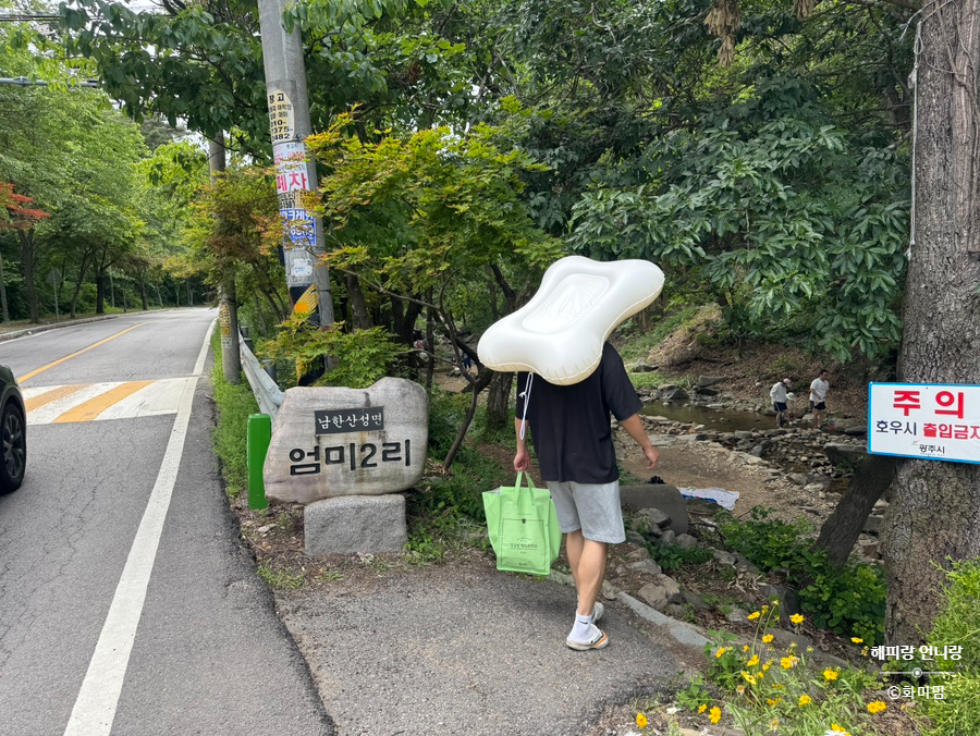 강아지 펫튜브, 계곡 물놀이 안전 필수템 위니즈 댕댕 튜브 — 사진 16