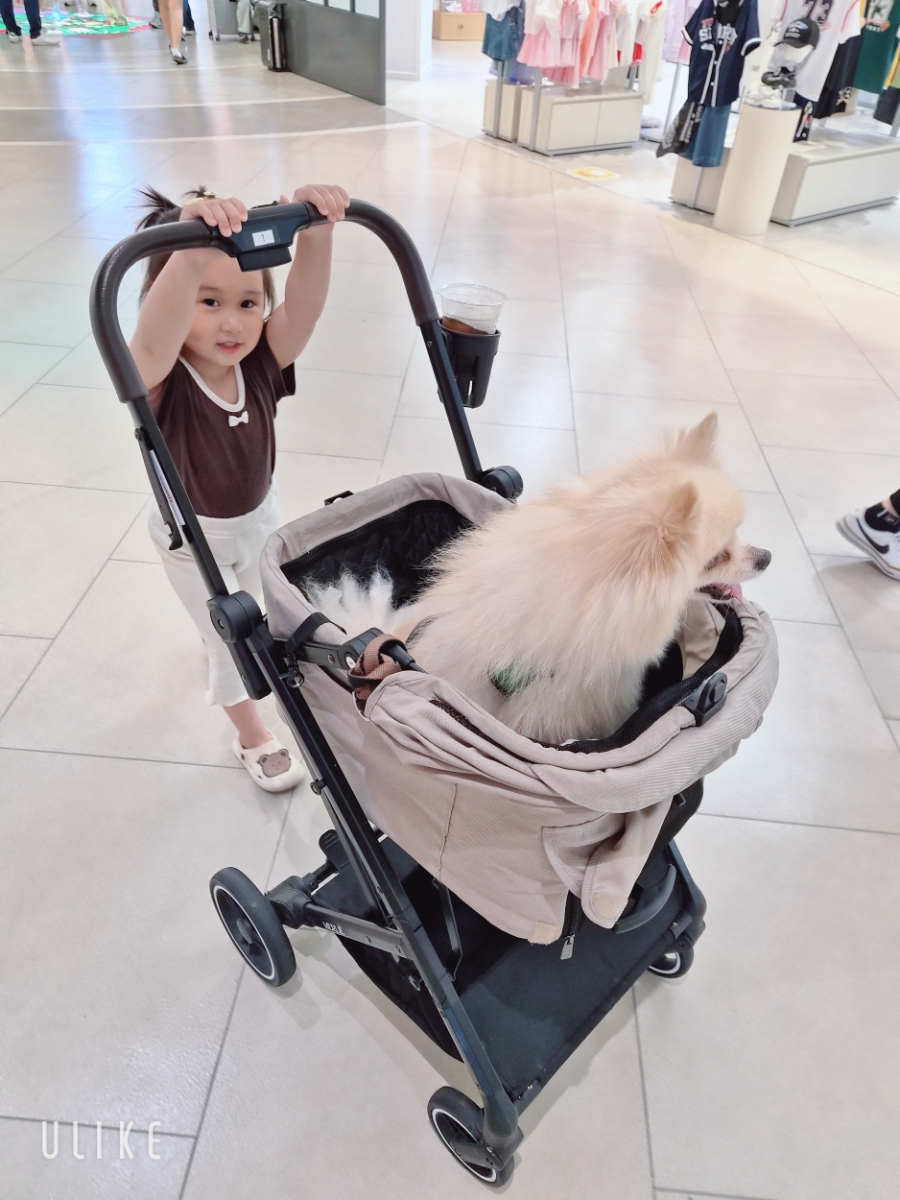 부천 스타필드 애견동반 개모차 대여 및 아이랑 놀거리 — 사진 10
