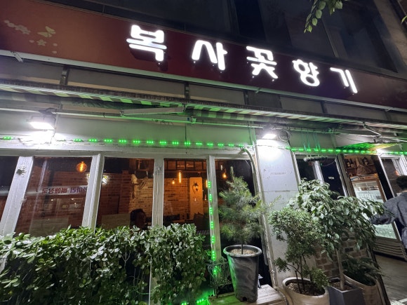 복사꽃향기 사진 4