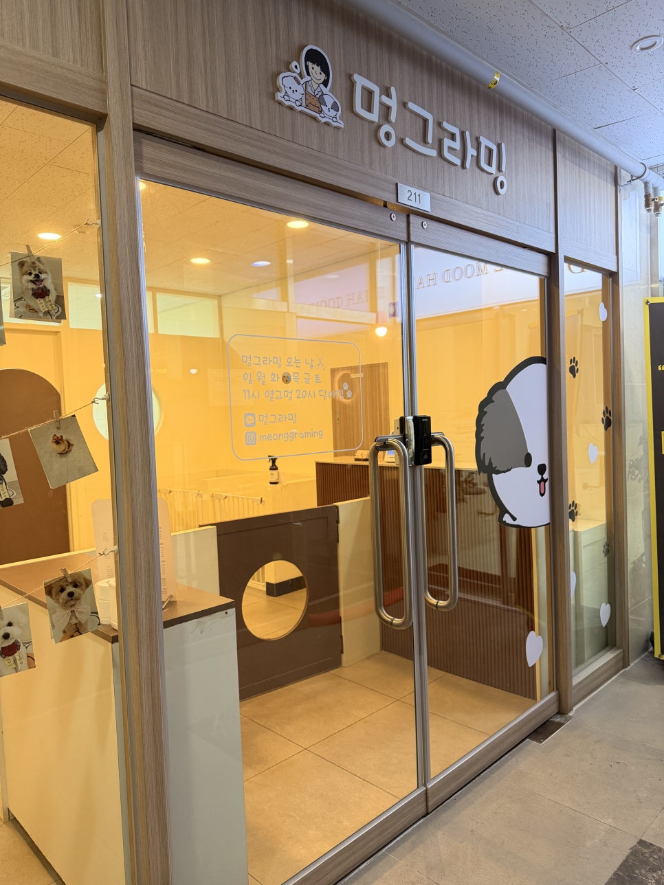 검단 푸들 가위컷+아로마 스파 비용 및 후기 — 사진 4