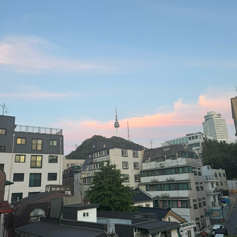 남산 바이트 사진 4