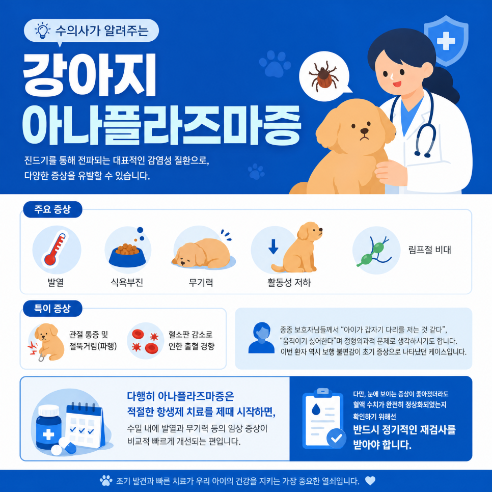 대전 야간 동물병원, 강아지 아나플라즈마 진드기 치료 후기 — 사진 5