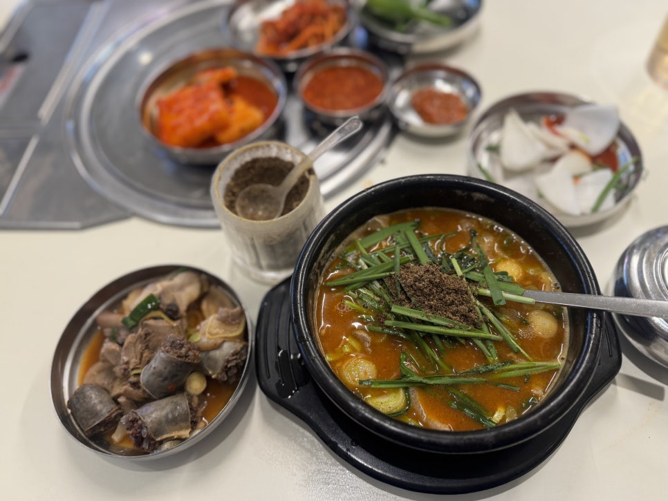 청담동순도리 강남역점 사진 8
