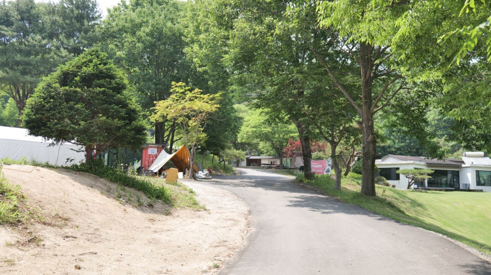 캠프여주: 수영장·잔디광장 있는 서울근교 강아지 캠핑장 — 사진 5