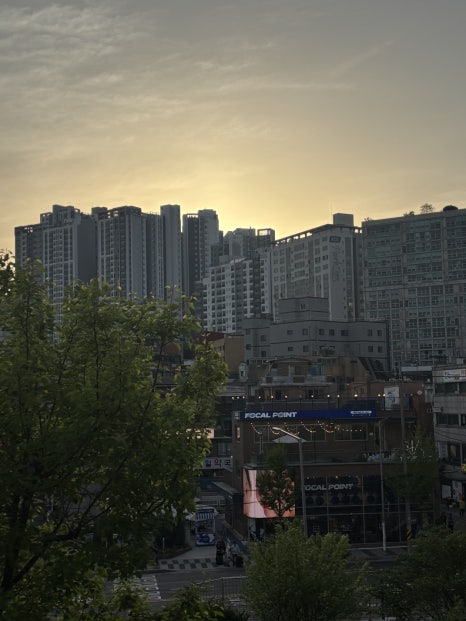 뒷동네 사진 8