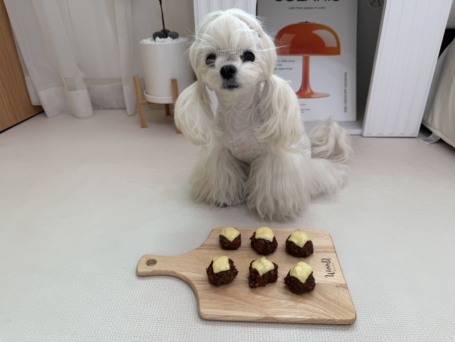강아지 소고기 완자 수제 간식 레시피 (초보자용) — 사진 16