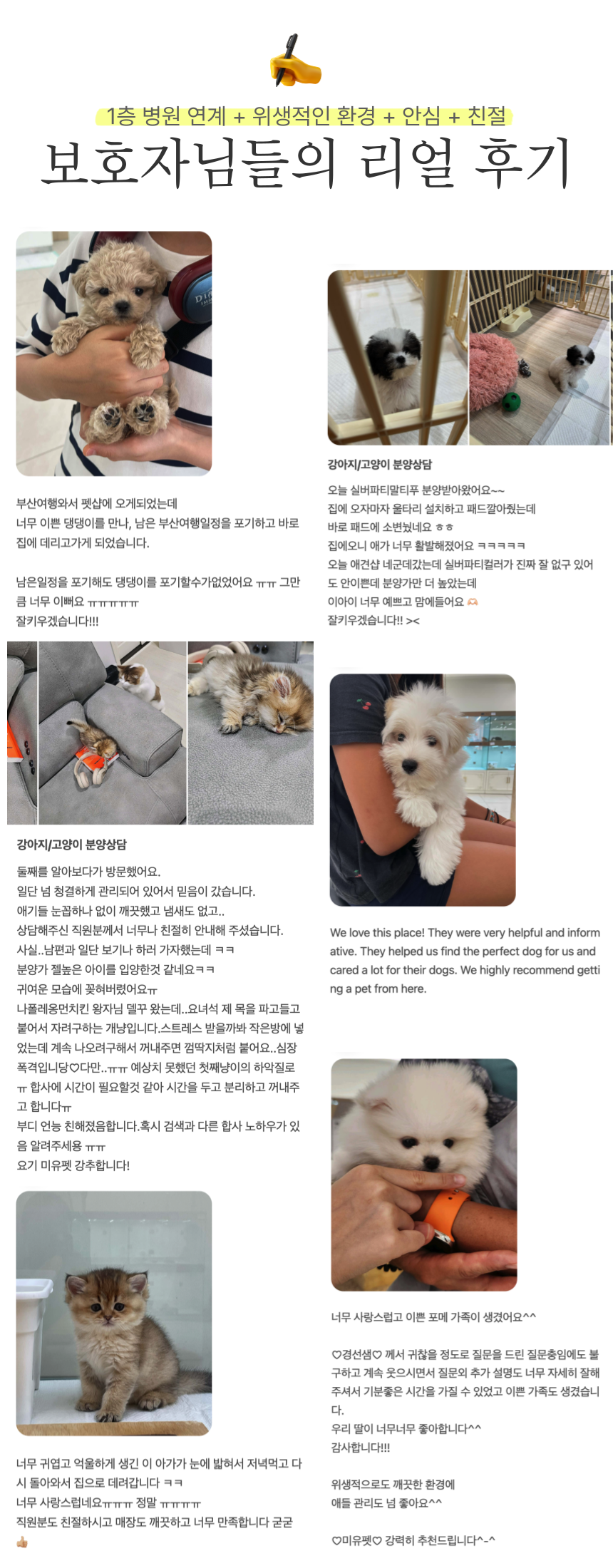 부산 고양이 입양 후기: 미유펫 먼치킨 숏레그 입양 과정 — 사진 19