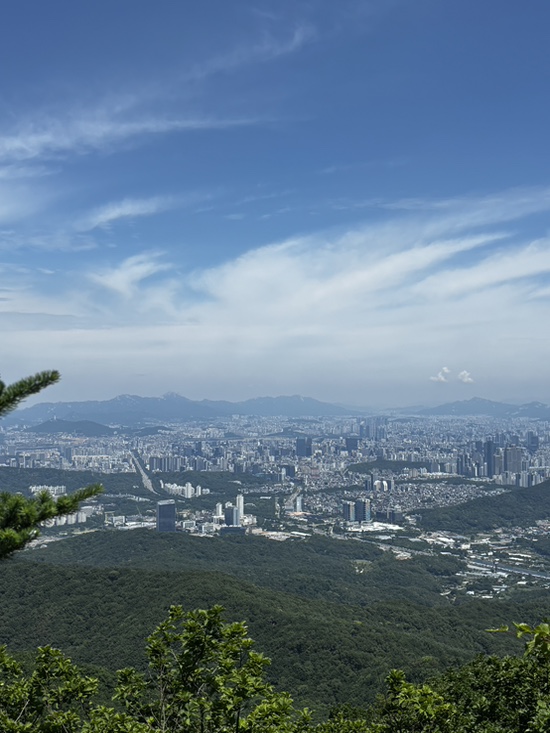 영동족발 본점 사진 6
