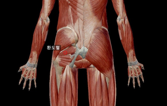 익산바른몸한의원 블로그 본문 이미지