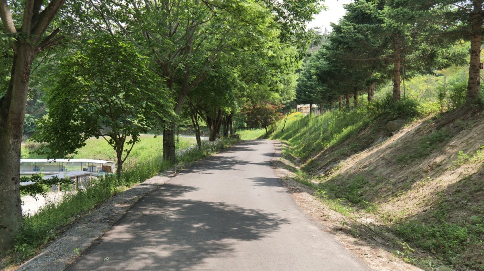캠프여주: 수영장·잔디광장 있는 서울근교 강아지 캠핑장 — 사진 4