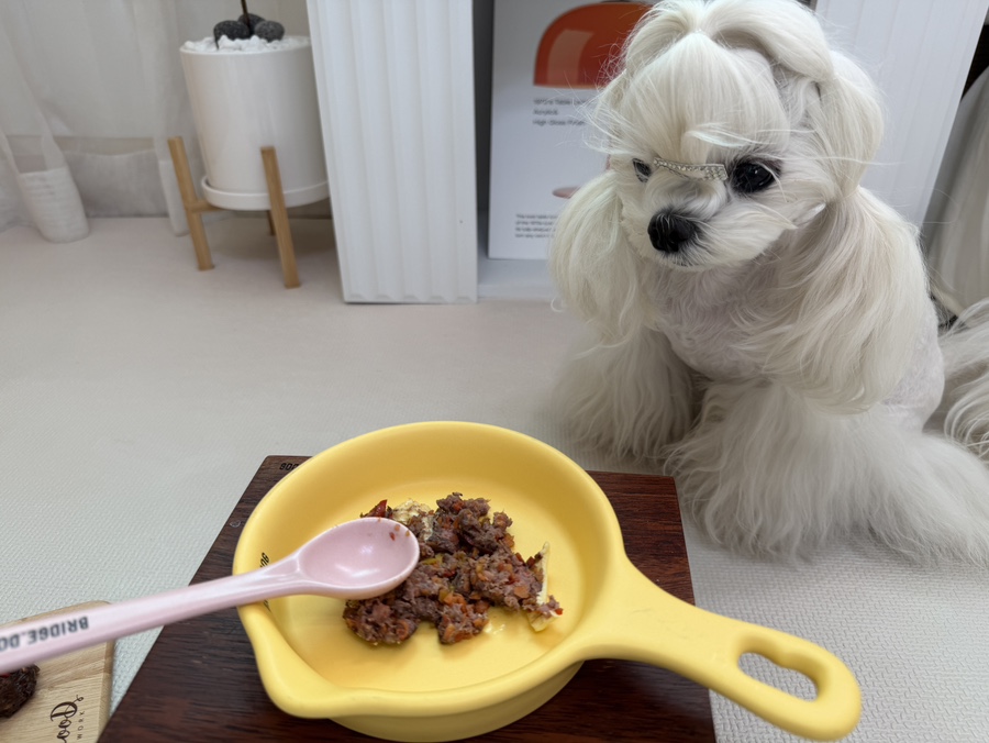 강아지 소고기 완자 수제 간식 레시피 (초보자용) — 사진 7