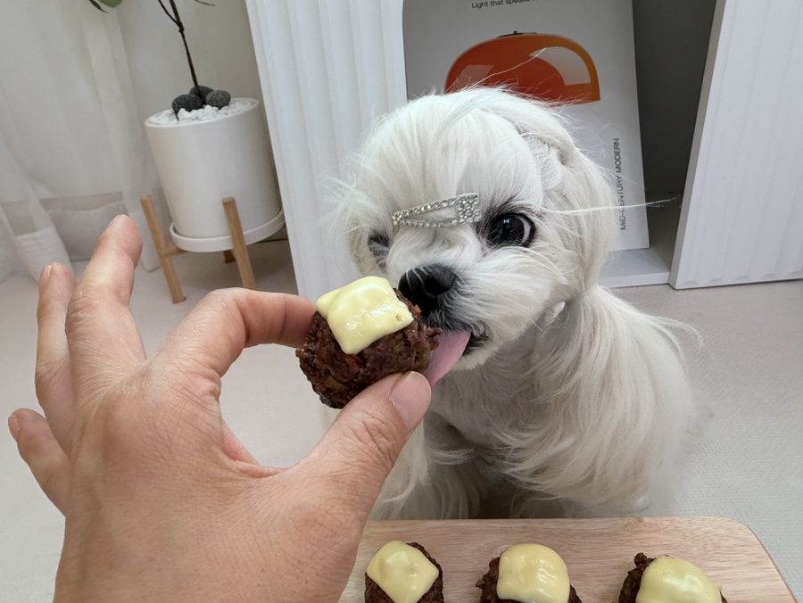 강아지 소고기 완자 수제 간식 레시피 (초보자용) — 사진 2