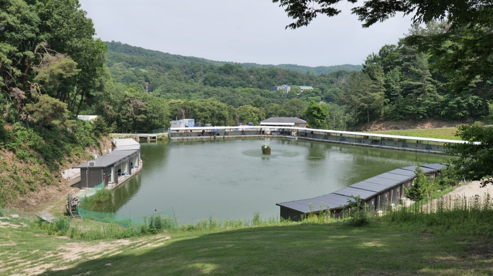 캠프여주: 수영장·잔디광장 있는 서울근교 강아지 캠핑장 — 사진 8