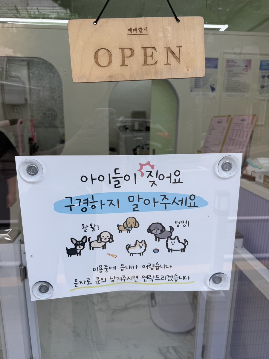 송파 비숑 스포팅 미용, 스트레스 없이 예뻐할게펫살롱 후기 — 사진 3