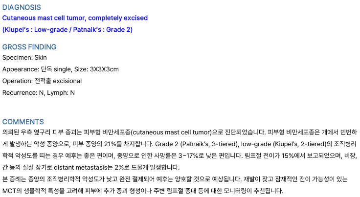 대전 강아지 비만세포종 수술, 24시 아프리카동물병원 후기 — 사진 6