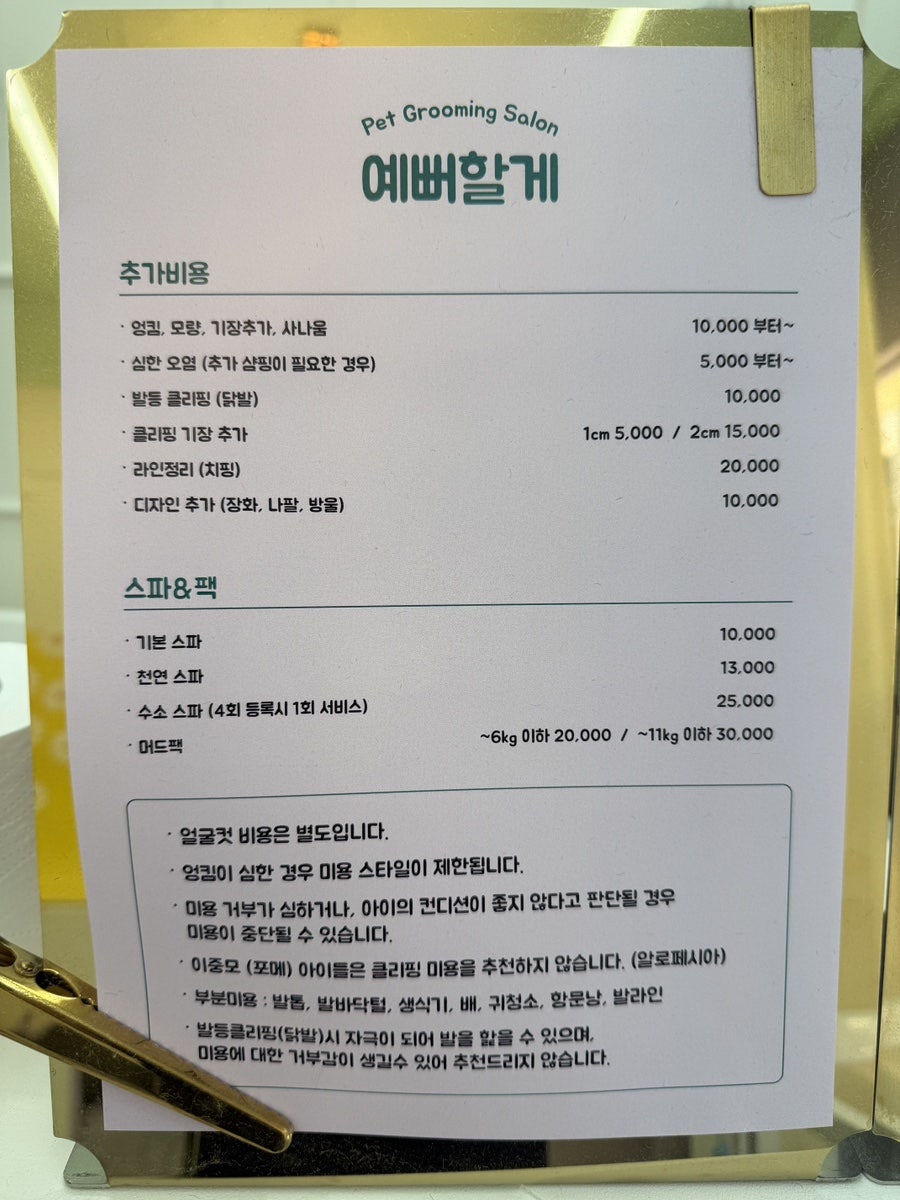 송파 비숑 스포팅 미용, 스트레스 없이 예뻐할게펫살롱 후기 — 사진 9