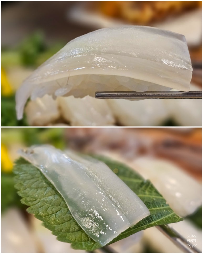 독도회센터 사진 5
