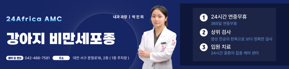 대전 강아지 비만세포종 수술, 24시 아프리카동물병원 후기 — 사진 7