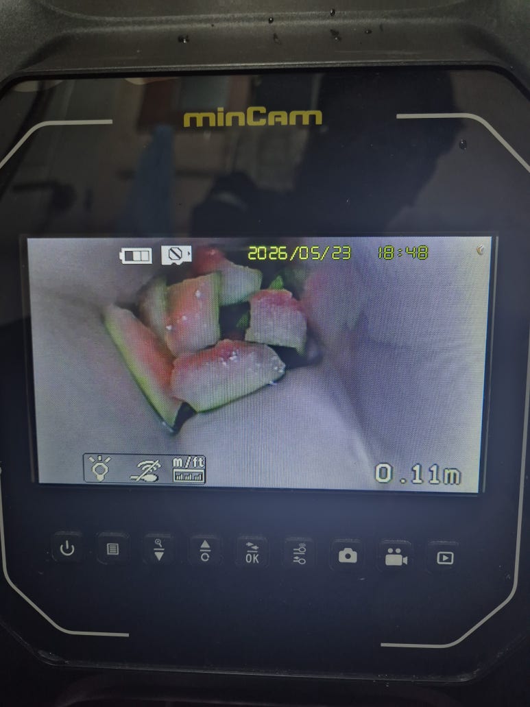 대전 변기뚫는업체 유성구 노은동 수박 버려 발생한 변기막힘 해결 사례 사진 9