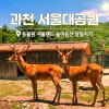 과천시 과천 서울대공원 & 서울랜드: 당일치기 완벽 코스 추천