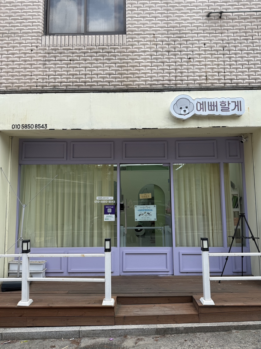 송파 비숑 스포팅 미용, 스트레스 없이 예뻐할게펫살롱 후기 — 사진 2
