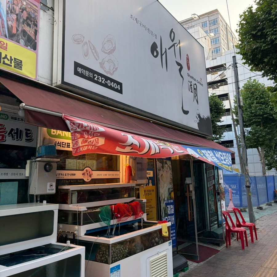 애월 사진 7