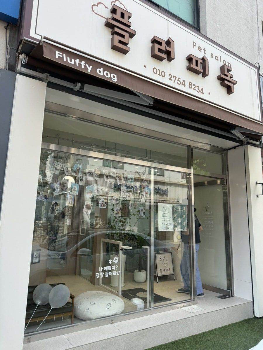 방배동 비숑 미용 후기: 플러피독 목욕 & 부분 커트 비용 — 사진 2