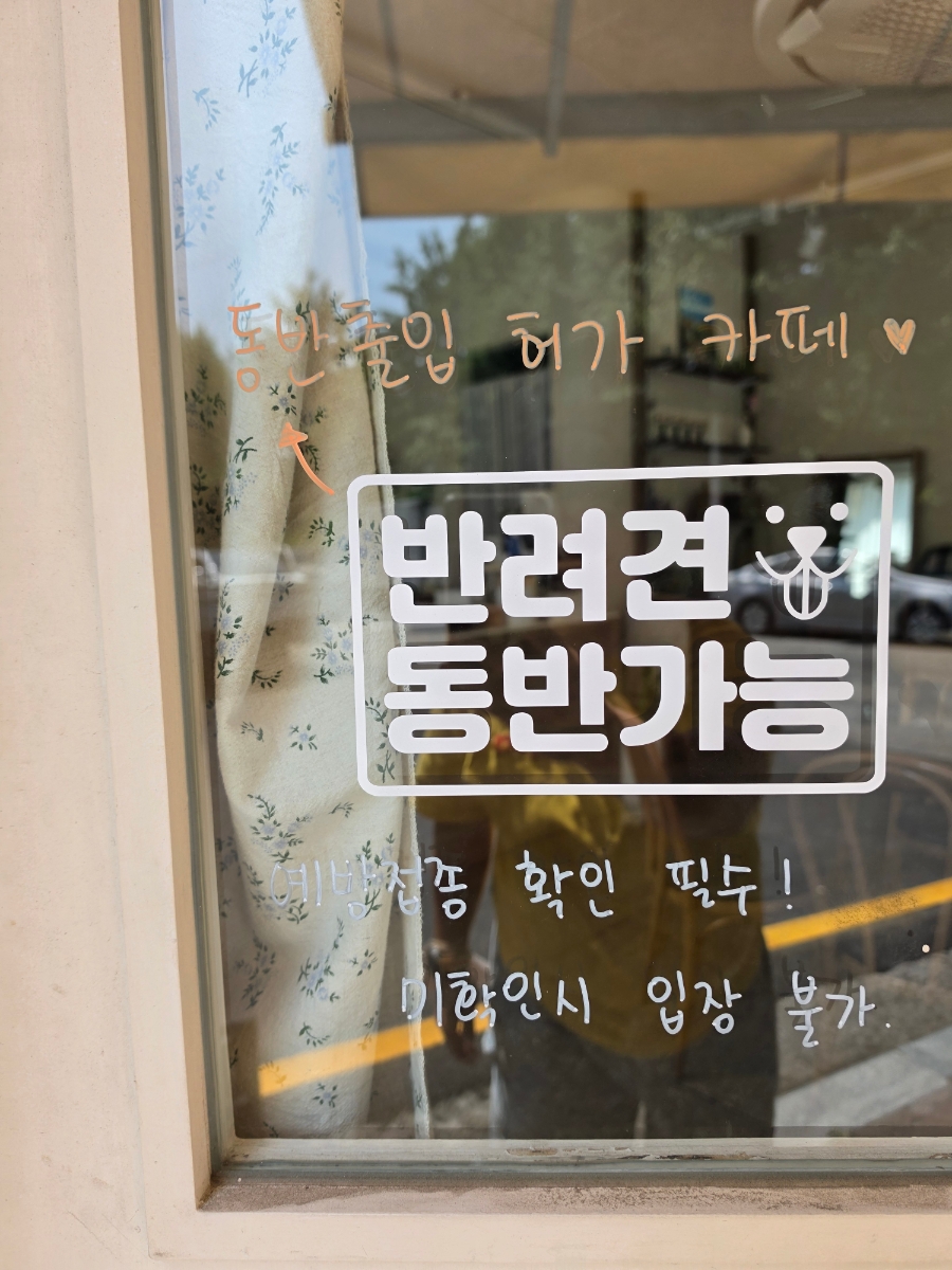 안양 애견동반 카페 소네, 디저트와 분위기 맛집 — 사진 4