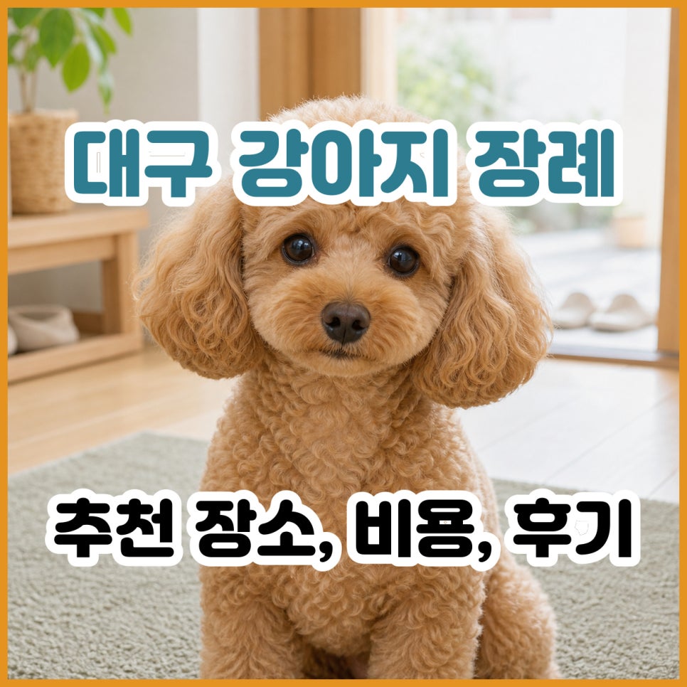 대구 강아지 장례식장 추천: 비용, 절차, 후기 총정리