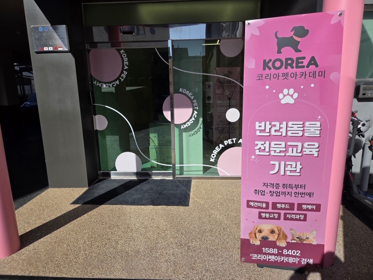 강아지 수제 간식 만들기: 재료부터 디자인까지 배우는 법 — 사진 5
