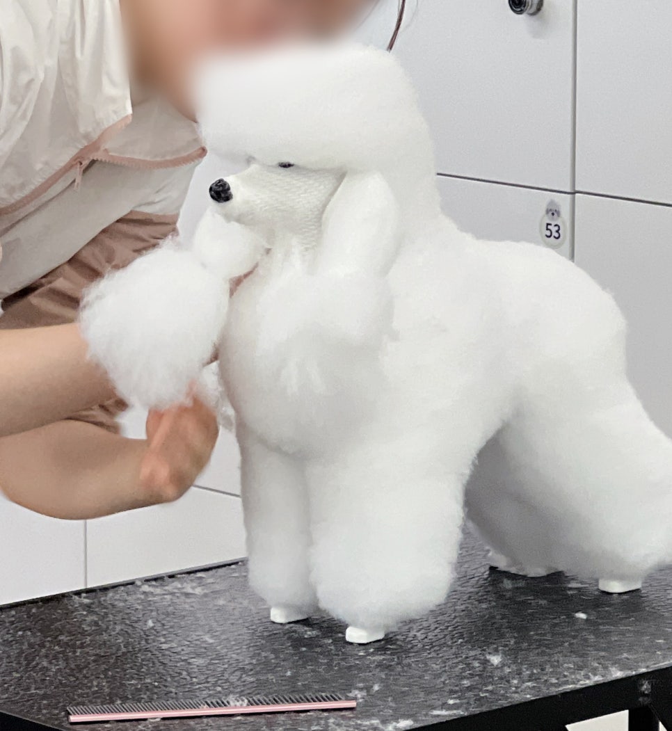 부평 주말 애견미용학원, 직장인도 가능한 자격증반 후기 — 사진 4