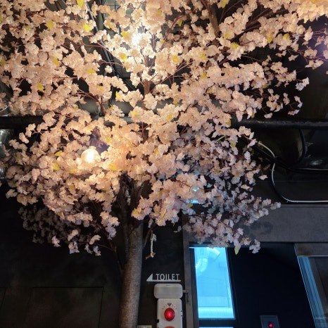 육달집 사진 7
