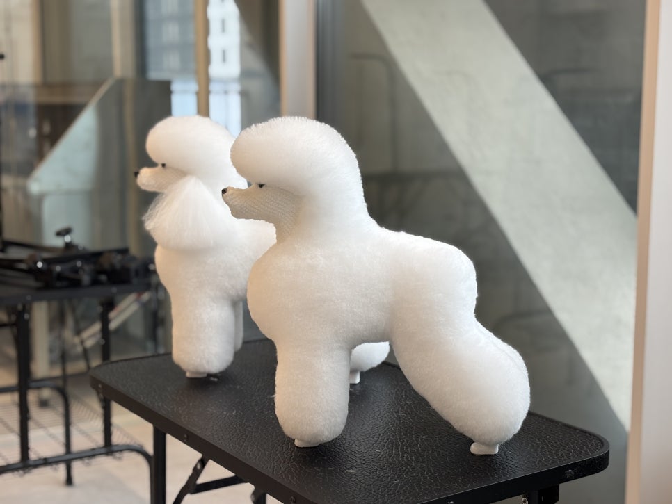 부평 주말 애견미용학원, 직장인도 가능한 자격증반 후기 — 사진 2