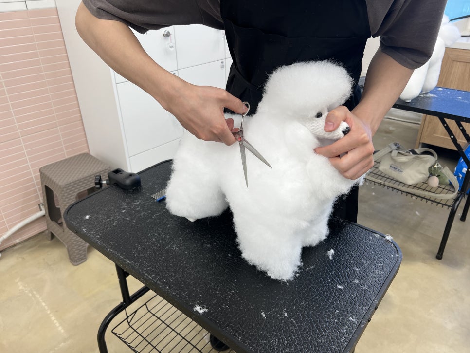 부평 주말 애견미용학원, 직장인도 가능한 자격증반 후기 — 사진 5