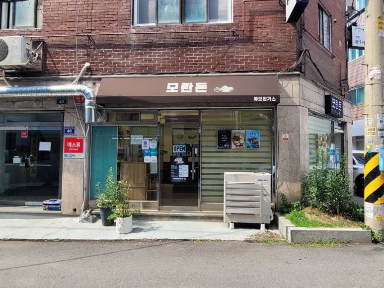 모란돈 사진 3
