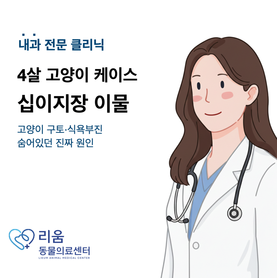 고양이 이물질 제거, 췌장염 오인 후기