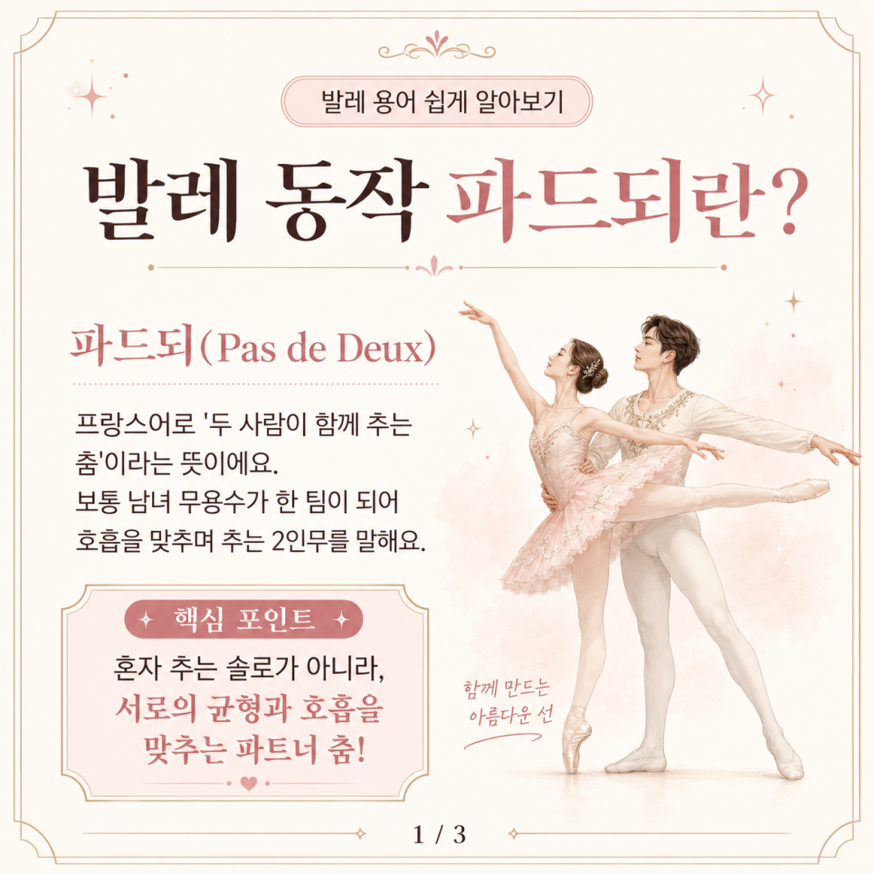 수원 발레 학원 직장인 취미 발레 후기: 공연 관람과 함께 즐기는 댄스 — 사진 14