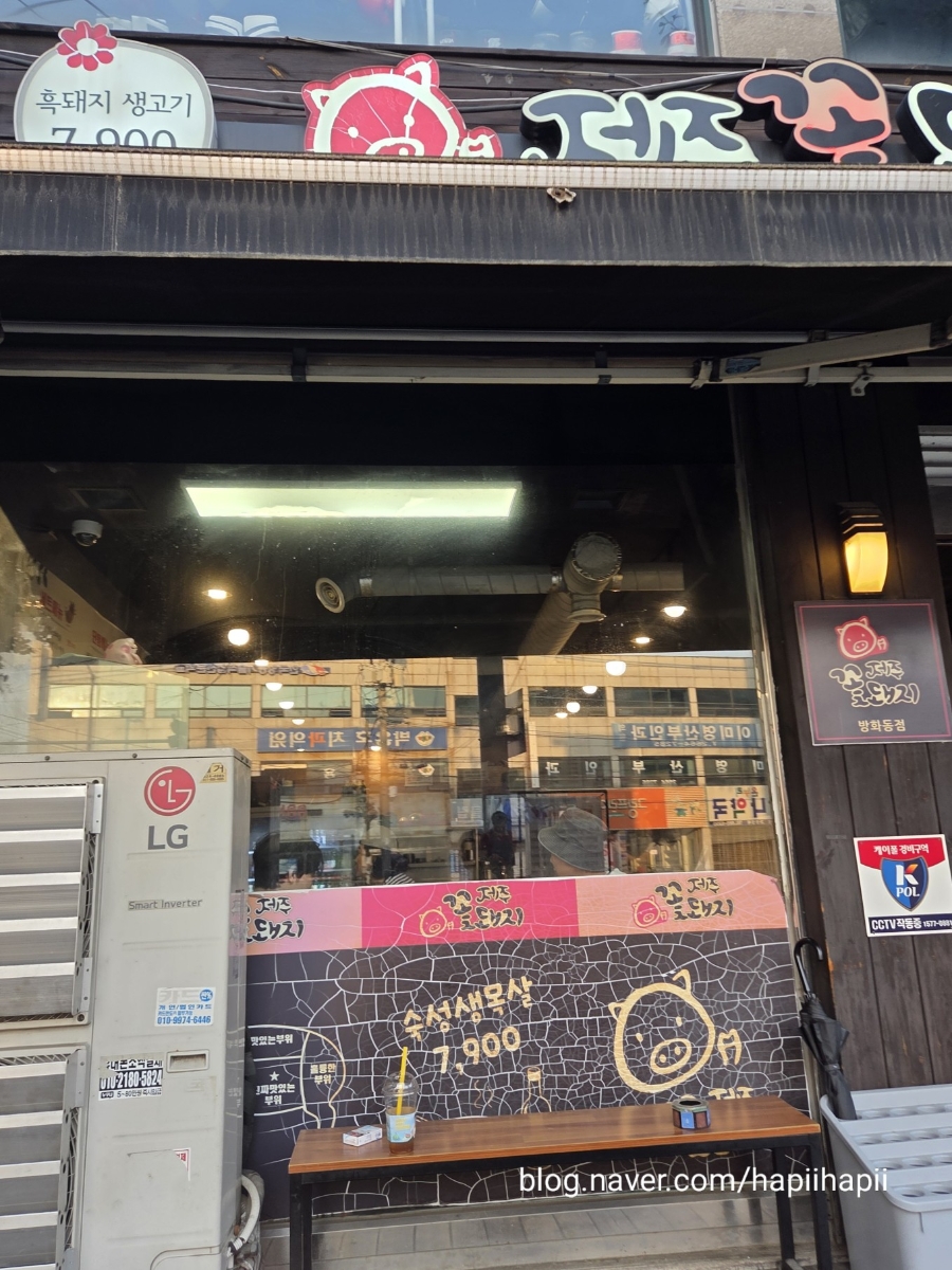 제주꽃돼지 사진 6