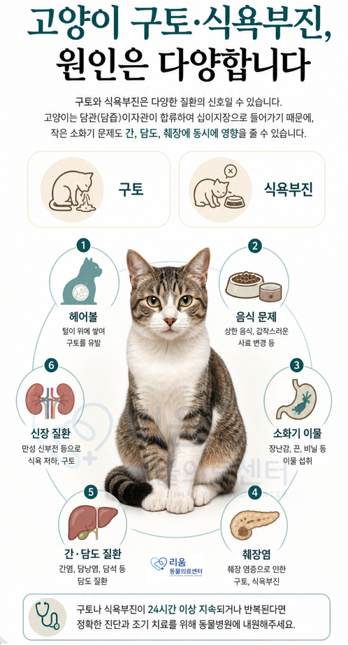 고양이 이물질 제거, 췌장염 오인 후기 — 사진 2