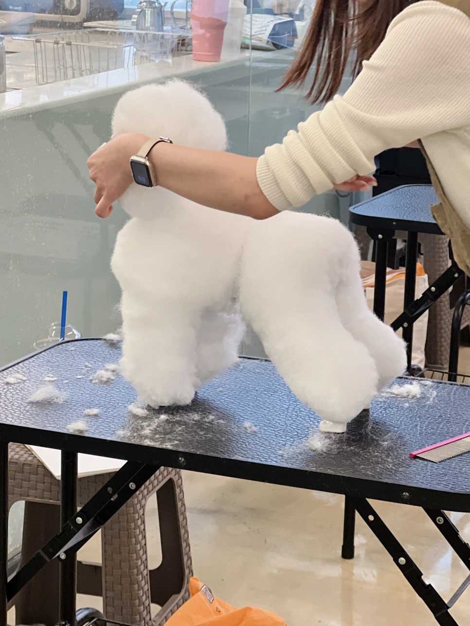부평 주말 애견미용학원, 직장인도 가능한 자격증반 후기 — 사진 3