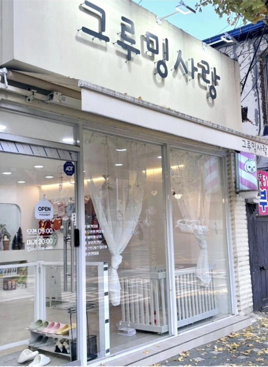 부평 포메라니안 곰돌이컷 미용 후기 및 비용 안내 — 사진 2