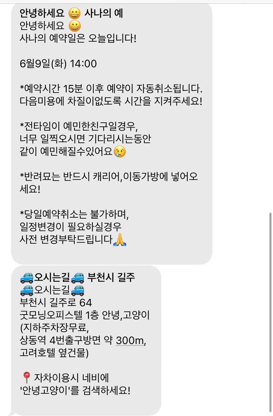 고양이 위생미용+목욕, 랙돌 7만원 솔직 후기 — 사진 5