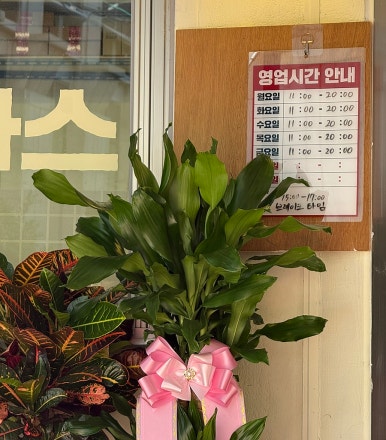 최가함박 사진 4
