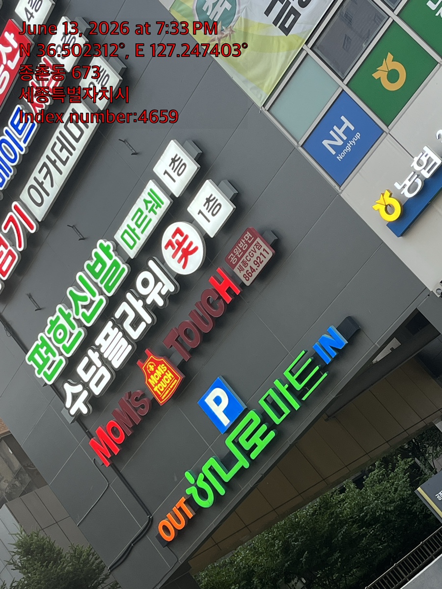 강아지 슬개골 탈구, 수술 비용과 회복 과정 완벽 가이드 — 사진 4
