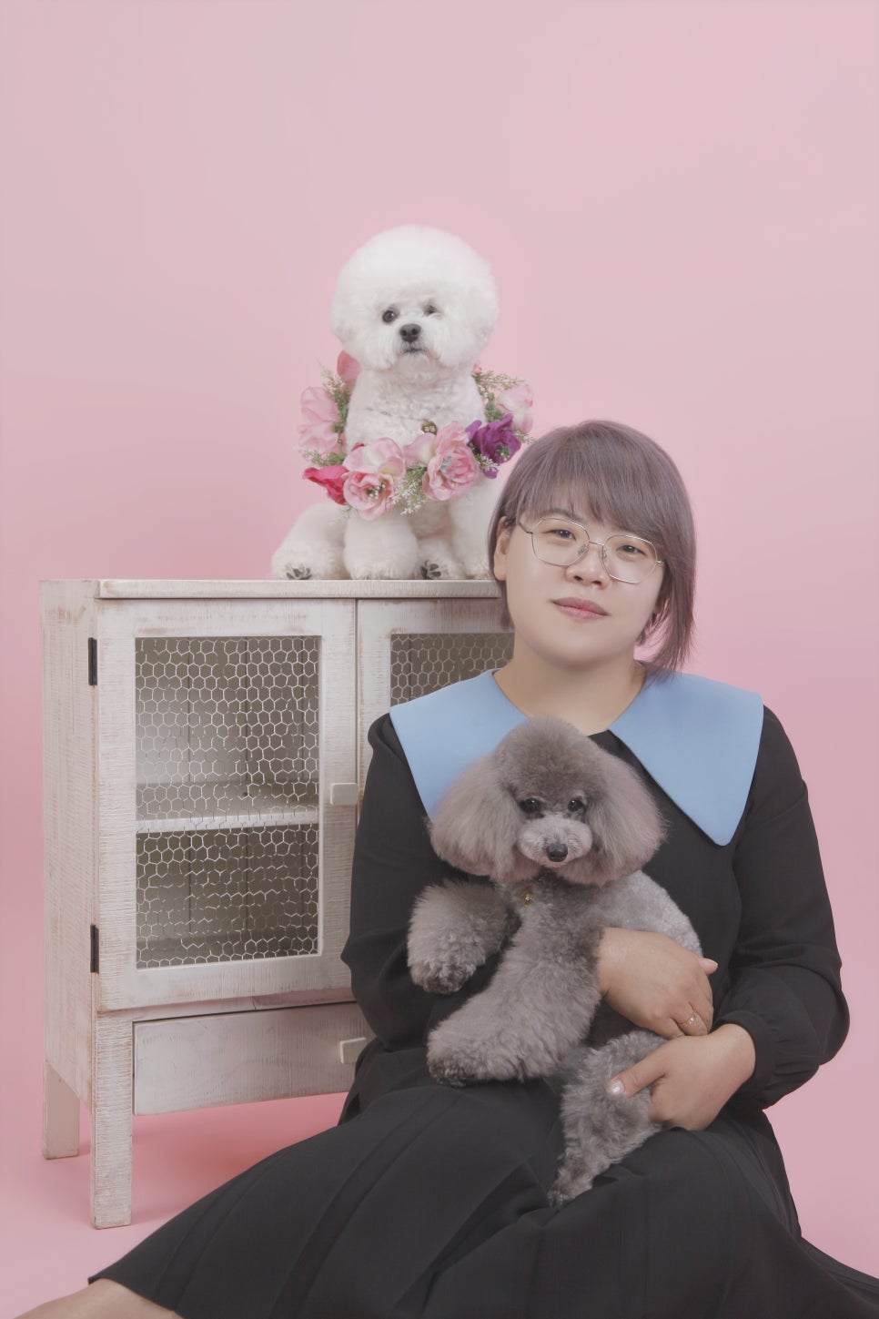 강아지 인생샷 남기기: 수상한 사진관 노원점 동반 촬영 — 사진 9